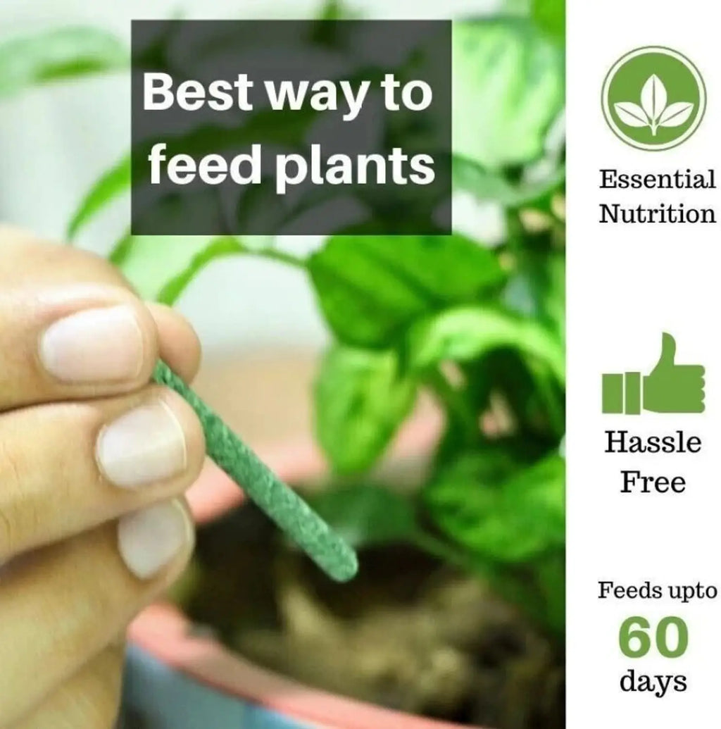 Plant Growth Fertilizer Sticks Buy 1 Get 1