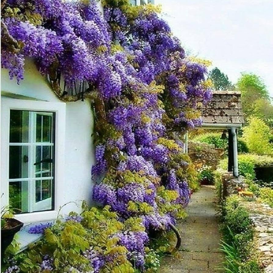 The Garden’s Cascading Beauty All Year Round
