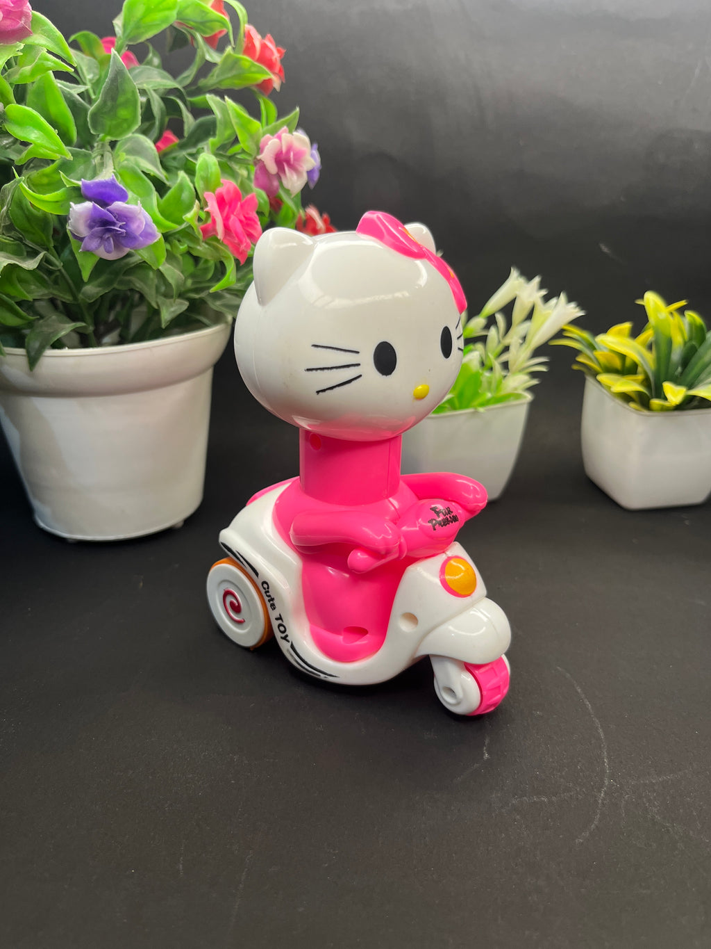 Cat with cycle