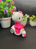 Cat with cycle