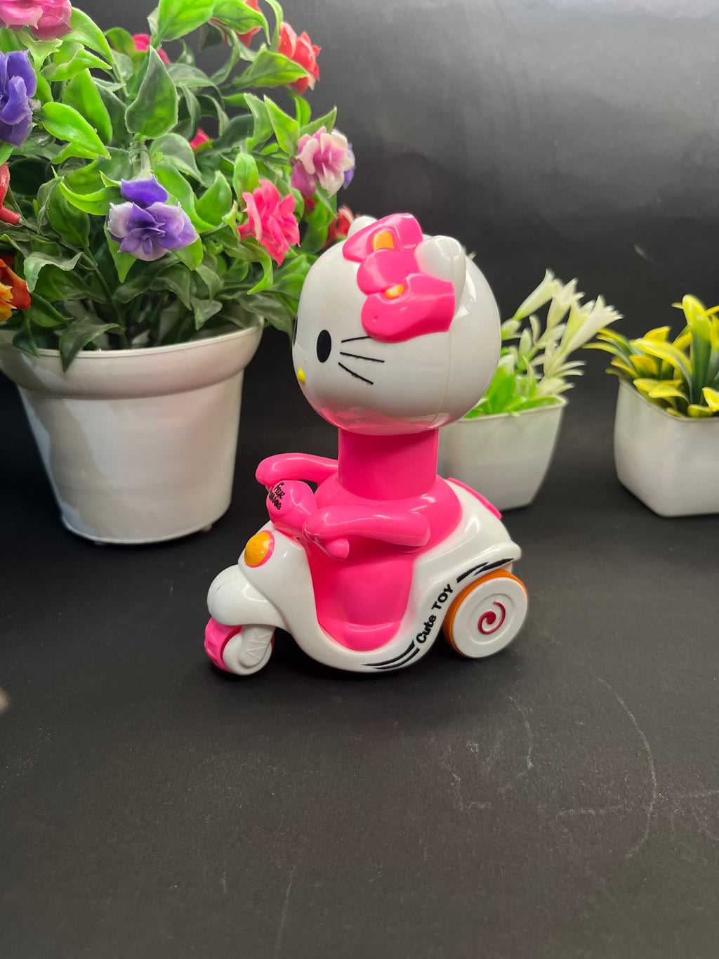 Cat with cycle