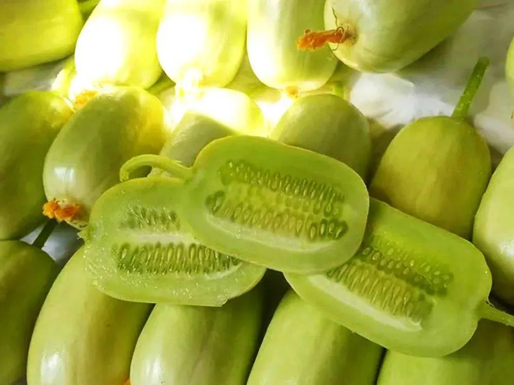 Cucumber-Golden Boy Lady Cucumber