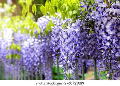 The Garden’s Cascading Beauty All Year Round