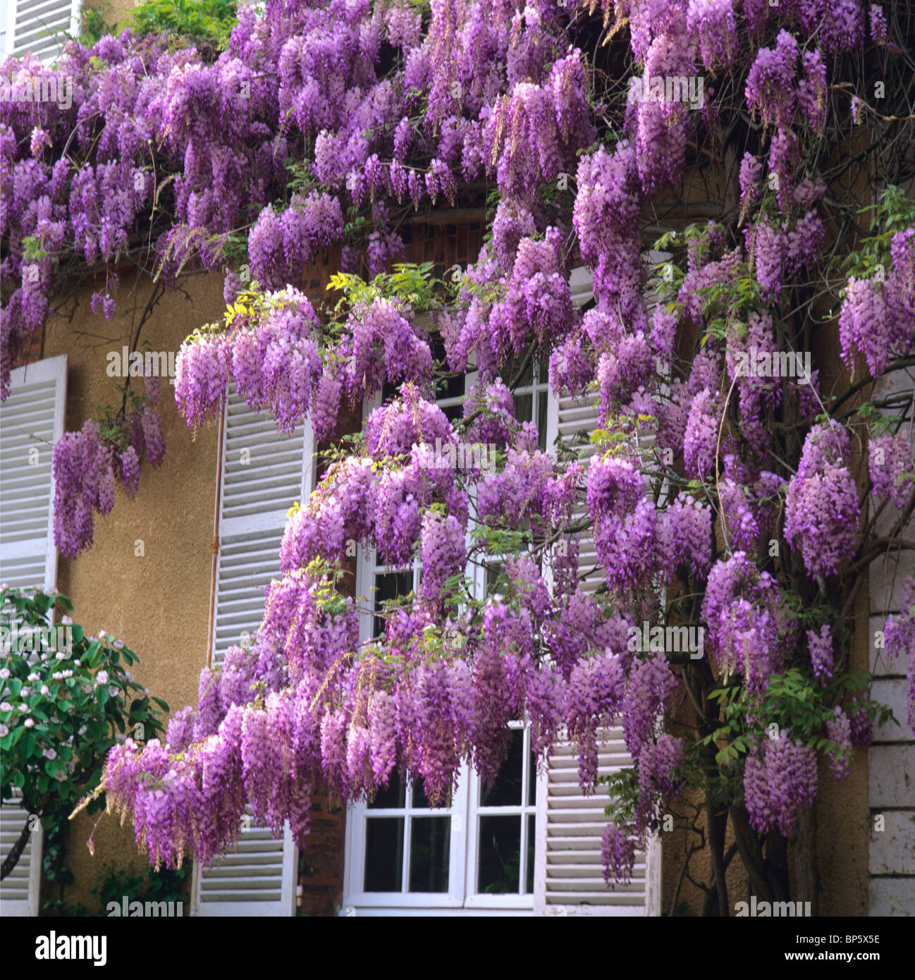 The Garden’s Cascading Beauty All Year Round