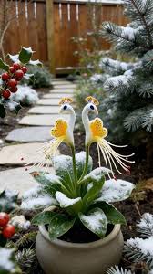 Vibrant Peacock Flower Seeds Pack of 2